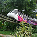 ڶ԰ɢ֮singapore park zoo_1