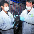 救狗事件逐渐冷却，800多只狗狗没人管了...