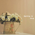 Spring & milk teaֱϱҵˣ_0