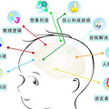 右脑的作用——创造