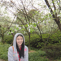 不一样的春雨~【花花菇凉】_3