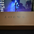 ��һ��ſ����~1200תȫ��LOEWEţƤ����Ь~_1