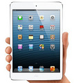 ܶƻiPad miniˮԼ3000Ԫ