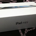 ipad mini ıĺ_1