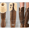 ˰Ͱ ϥƤëһUGG 510Ԫ