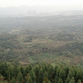冬游记（杀年猪，吃刨猪汤，采野菊花，钓土鲫鱼，烧红苕）_3