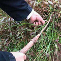冬游记（杀年猪，吃刨猪汤，采野菊花，钓土鲫鱼，烧红苕）_5