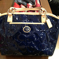 ɹǰԵCOACH  KATE SPADE Сң_2