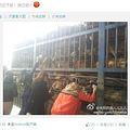 【紧急救援】”重庆32狗狗大援救“急需志愿者支援_5