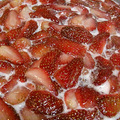 Strawberry jam at springŮʮƲݮ_5