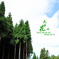 坑爹的武陵山也可以拍出美美的片——夏末小拍_2