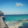 ÿ춼˽,ÿζHoneymoonLove in the Maldives_4