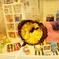 ���и��ȵĳ���...�Ҳ�֪����cake pops!_2