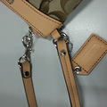 COACHִ棬ԴҲˣϲϲ_1