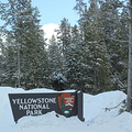 �����yellow stone national park _2