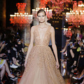 ELIE SAAB 2014�ﶬ�߶���ɴ��� ������ʵ��ξ�_4
