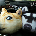 dogeֱҪҪ񷳹~~~~~