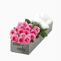 roseonly�������ˣ�һ��ֻ��һ��