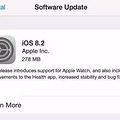 עˣظios8.2ϵͳ~~~_2