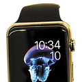 Apple Watch Ŀǰֻ߶