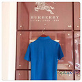 ����burberry��ʿpolo��һ����_1