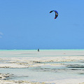 Zanzibar, So African   ɣͶ ˷_2