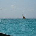 Zanzibar, So African   ɣͶ ˷_5