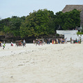 Zanzibar, So African   ɣͶ ˷_1