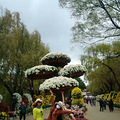 yunnan԰_1