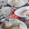 我是海鲜控，找了一个海鲜控老公，然后，发现一家海鲜，停不下来_1