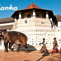 Sleepless in Sri Lanka_1