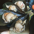 海鲜小火锅，比想象的好吃点儿_3