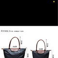 longchamp390˦
_4