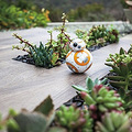 ֱʡBB-8 App-Enabled Droid by Sphero ңػ_3