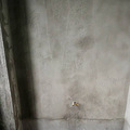 ?????大宝的新家_4