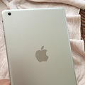 תipad mini_2
