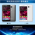 ȫδZTE/ S291 2 ˫4Gֻ_3