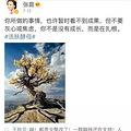 张庭的面膜为什么会有人买？看到变wanghong脸的小陶虹我才明白！_0