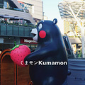 죨7.30ܱkumamonҪŶԻ_1