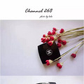 Chanel ̽ǿ_4