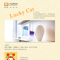 èװΡlucky cat  Ϊ֡