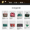 coach꿪ˣĻͰ