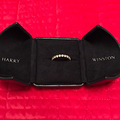 ҵHarry Winston_1