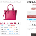 պԻݡCOACH Polish Pebble 24 Carryall Ůʿ