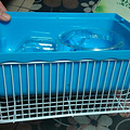 仓鼠的笼子和木屑