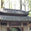 活捉南山火锅一条街上的一家中餐_2