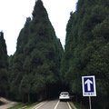 丰都南天湖避暑考察_0