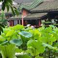 重庆大足荷花山庄，重庆大足荷花山庄好耍吗？