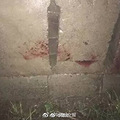 女婴被扔草丛真相：妈妈竟是个12岁孩子_4