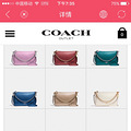 Coach ֿӴ µĿȥ_2
